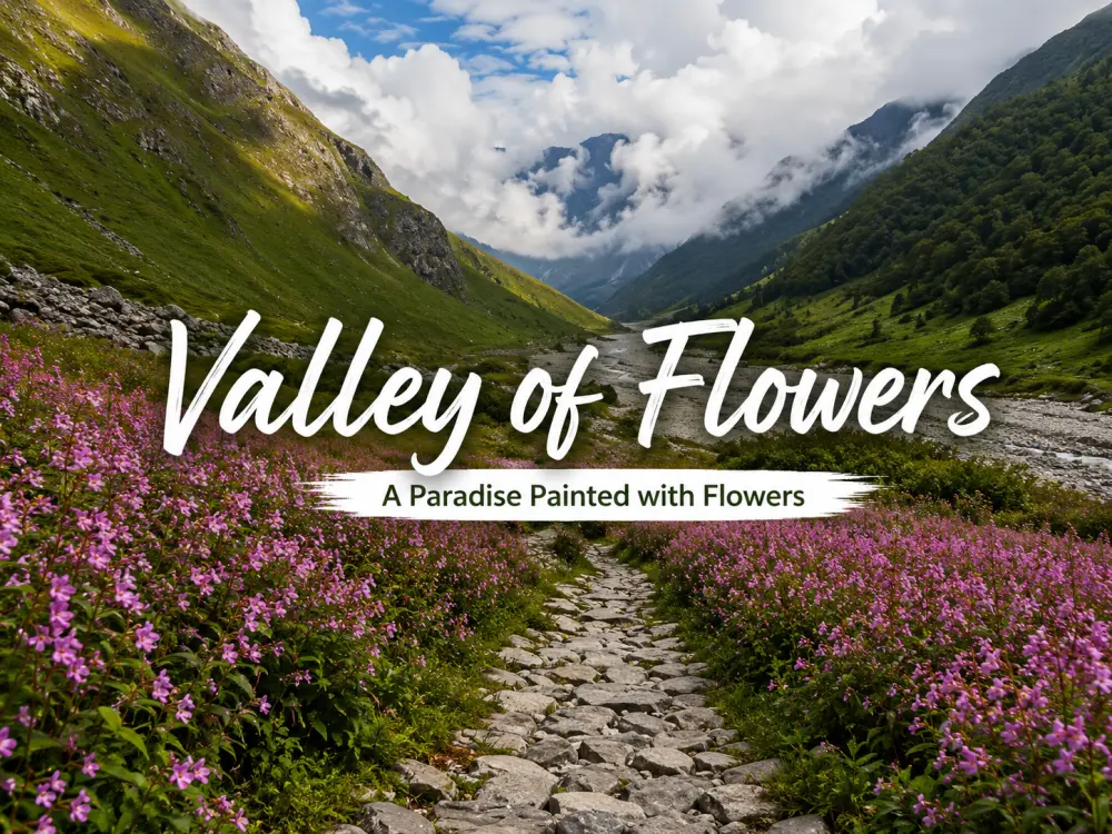 valley of flowers 1969572